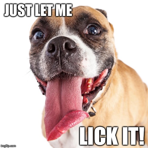 JUST LET ME LICK IT! | made w/ Imgflip meme maker
