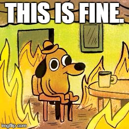 Dog in burning house | THIS IS FINE. | image tagged in dog in burning house | made w/ Imgflip meme maker