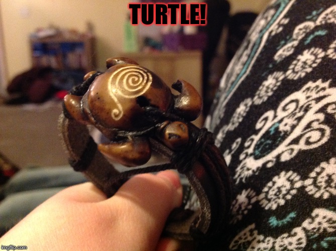 TURTLE! | made w/ Imgflip meme maker