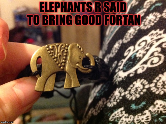 ELEPHANTS R SAID TO BRING GOOD FORTAN | made w/ Imgflip meme maker