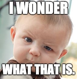 Skeptical Baby | I WONDER; WHAT THAT IS. | image tagged in memes,skeptical baby | made w/ Imgflip meme maker