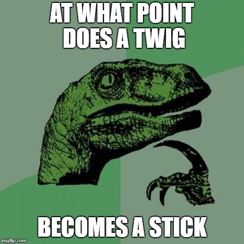 Philosoraptor Meme | AT WHAT POINT DOES A TWIG; BECOMES A STICK | image tagged in memes,philosoraptor,ssby,funny,repost | made w/ Imgflip meme maker