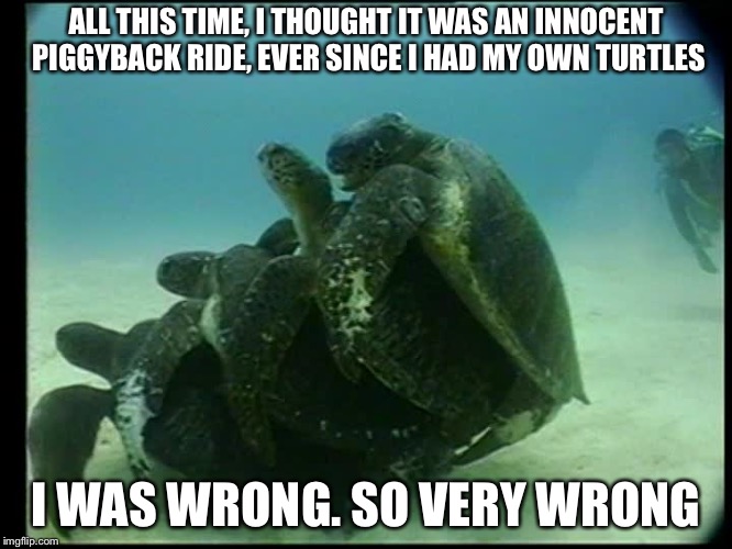 ALL THIS TIME, I THOUGHT IT WAS AN INNOCENT PIGGYBACK RIDE, EVER SINCE I HAD MY OWN TURTLES; I WAS WRONG. SO VERY WRONG | image tagged in scarred 4 life | made w/ Imgflip meme maker
