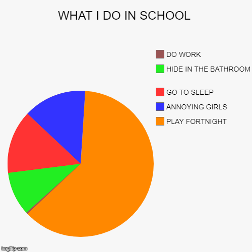 WHAT I DO IN SCHOOL | PLAY FORTNIGHT , ANNOYING GIRLS , GO TO SLEEP , HIDE IN THE BATHROOM , DO WORK | image tagged in funny,pie charts | made w/ Imgflip chart maker