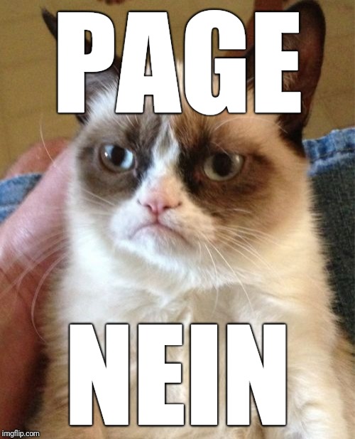 Grumpy Cat Meme | PAGE NEIN | image tagged in memes,grumpy cat | made w/ Imgflip meme maker