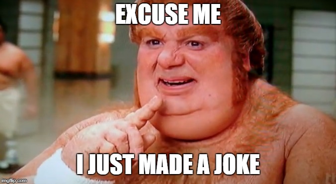 fat | EXCUSE ME I JUST MADE A JOKE | image tagged in fat | made w/ Imgflip meme maker