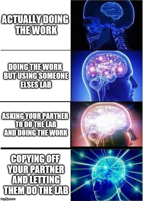 Expanding Brain Meme | ACTUALLY DOING THE WORK; DOING THE WORK BUT USING SOMEONE ELSES LAB; ASKING YOUR PARTNER TO DO THE LAB AND DOING THE WORK; COPYING OFF YOUR PARTNER AND LETTING THEM DO THE LAB | image tagged in memes,expanding brain | made w/ Imgflip meme maker