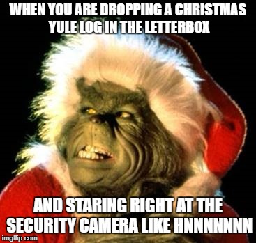 WHEN YOU ARE DROPPING A CHRISTMAS YULE LOG IN THE LETTERBOX; AND STARING RIGHT AT THE SECURITY CAMERA LIKE HNNNNNNN | made w/ Imgflip meme maker