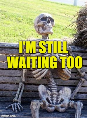 Waiting Skeleton Meme | I'M STILL WAITING TOO | image tagged in memes,waiting skeleton | made w/ Imgflip meme maker