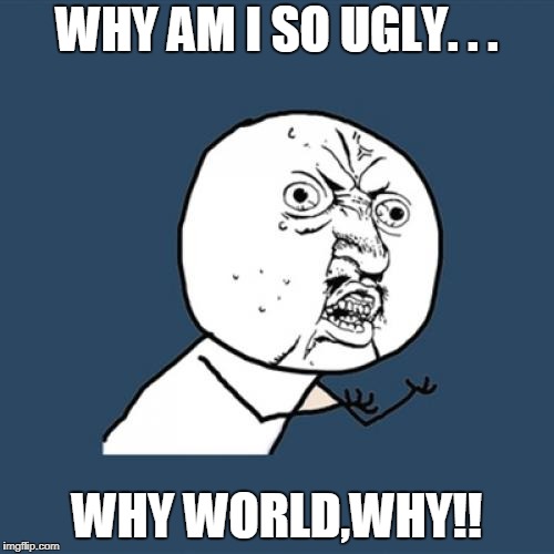 Y U No Meme | WHY AM I SO UGLY. . . WHY WORLD,WHY!! | image tagged in memes,y u no | made w/ Imgflip meme maker
