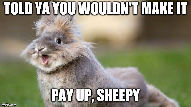 TOLD YA YOU WOULDN'T MAKE IT PAY UP, SHEEPY | made w/ Imgflip meme maker