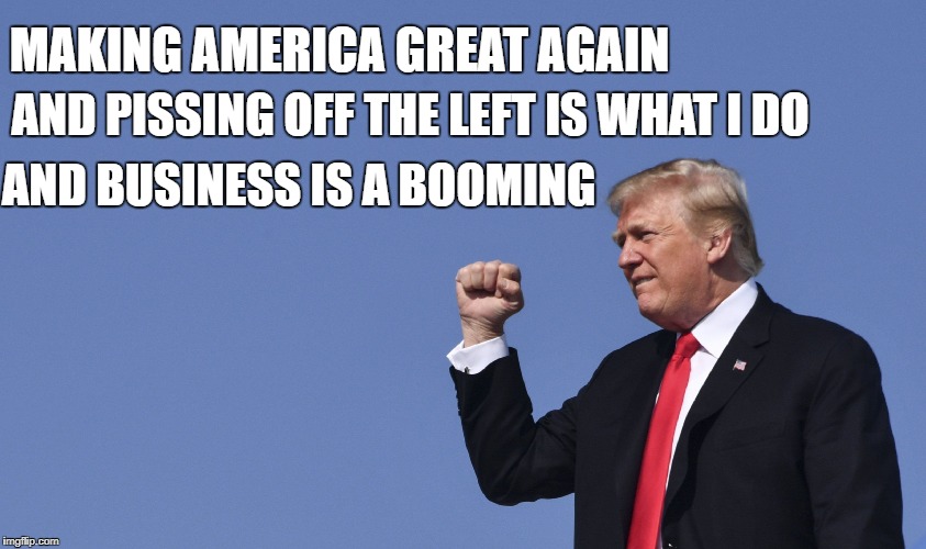 AND PISSING OFF THE LEFT IS WHAT I DO; MAKING AMERICA GREAT AGAIN; AND BUSINESS IS A BOOMING | image tagged in president trump | made w/ Imgflip meme maker