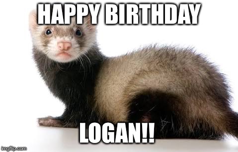 Ferret love | HAPPY BIRTHDAY; LOGAN!! | image tagged in ferret love | made w/ Imgflip meme maker