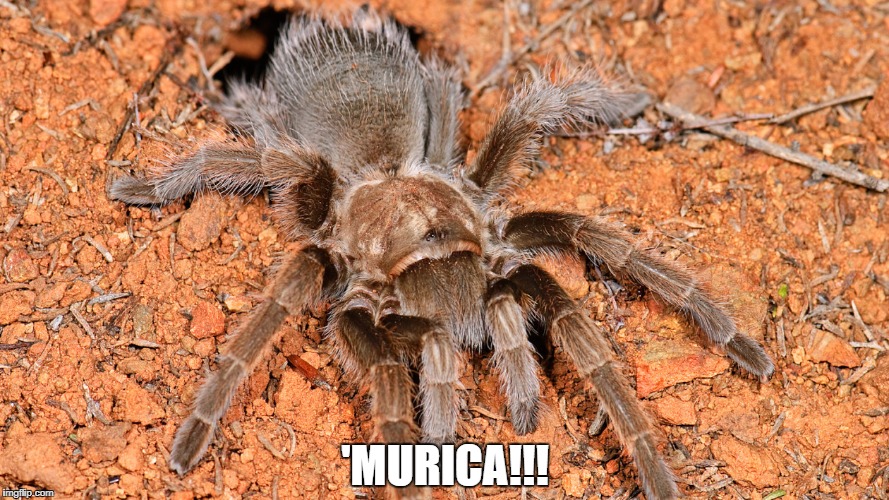 'MURICA!!! | made w/ Imgflip meme maker