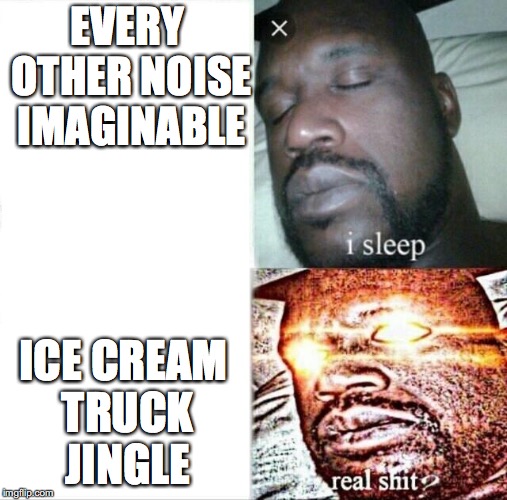The Typical, Everyday Person | EVERY OTHER NOISE IMAGINABLE; ICE CREAM TRUCK JINGLE | image tagged in memes,sleeping shaq | made w/ Imgflip meme maker