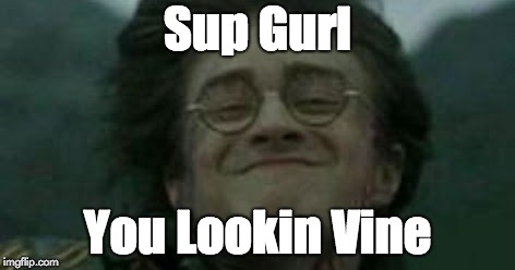 Sup Gurl You Lookin Fine | Sup Gurl; You Lookin Vine | image tagged in sup gurl you lookin fine | made w/ Imgflip meme maker