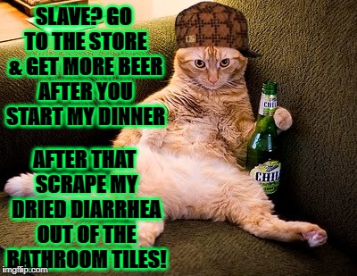 SLAVE? GO TO THE STORE & GET MORE BEER AFTER YOU START MY DINNER; AFTER THAT SCRAPE MY DRIED DIARRHEA OUT OF THE BATHROOM TILES! | image tagged in drunk and lazy,scumbag | made w/ Imgflip meme maker