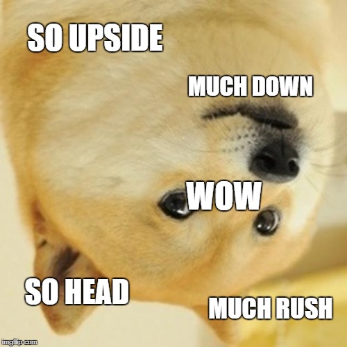 Doge Meme | SO UPSIDE; MUCH DOWN; WOW; SO HEAD; MUCH RUSH | image tagged in memes,doge | made w/ Imgflip meme maker