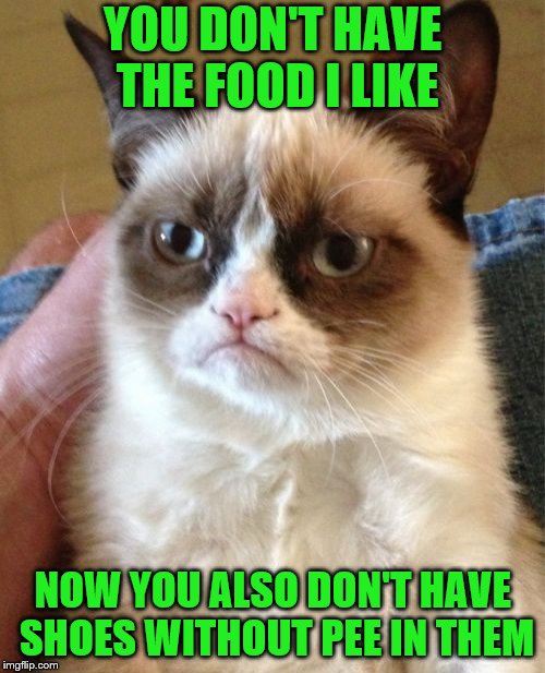 Get better food and pick up new shoes while you're at it. | YOU DON'T HAVE THE FOOD I LIKE; NOW YOU ALSO DON'T HAVE SHOES WITHOUT PEE IN THEM | image tagged in memes,grumpy cat,food,shoes,pee | made w/ Imgflip meme maker