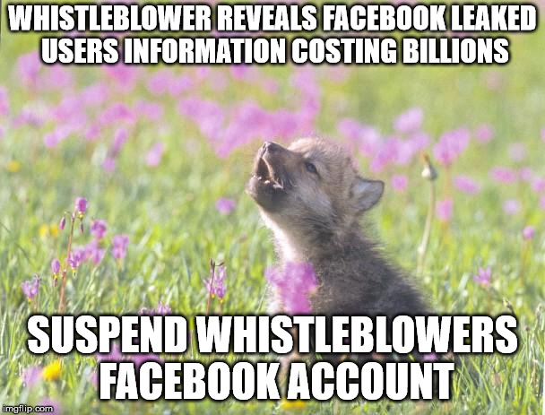 Baby Insanity Wolf Meme | WHISTLEBLOWER REVEALS FACEBOOK LEAKED USERS INFORMATION COSTING BILLIONS; SUSPEND WHISTLEBLOWERS FACEBOOK ACCOUNT | image tagged in memes,baby insanity wolf | made w/ Imgflip meme maker