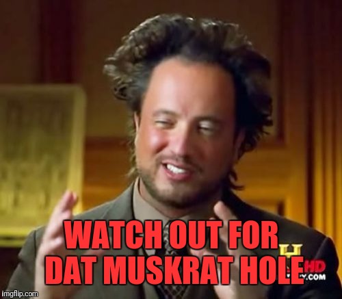 Ancient Aliens Meme | WATCH OUT FOR DAT MUSKRAT HOLE | image tagged in memes,ancient aliens | made w/ Imgflip meme maker