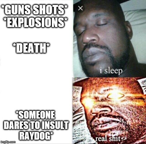 Sleeping shack | *GUNS SHOTS* *EXPLOSIONS* *DEATH*; *SOMEONE DARES TO INSULT RAYDOG* | image tagged in memes,sleeping shaq,raydog,raydog for president | made w/ Imgflip meme maker