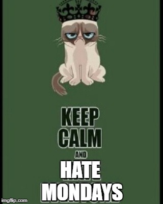 Grumpy cat meme meme | HATE MONDAYS | image tagged in grumpy cat meme meme | made w/ Imgflip meme maker