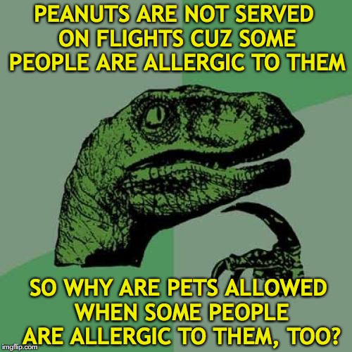 Philosoraptor Meme | PEANUTS ARE NOT SERVED ON FLIGHTS CUZ SOME PEOPLE ARE ALLERGIC TO THEM; SO WHY ARE PETS ALLOWED WHEN SOME PEOPLE ARE ALLERGIC TO THEM, TOO? | image tagged in memes,philosoraptor,peanuts,allergies,flight | made w/ Imgflip meme maker