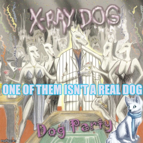 ONE OF THEM ISN'T A REAL DOG | made w/ Imgflip meme maker