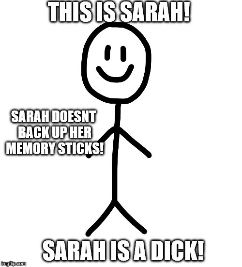 Stick figure | THIS IS SARAH! SARAH DOESNT BACK UP HER MEMORY STICKS! SARAH IS A DICK! | image tagged in stick figure | made w/ Imgflip meme maker