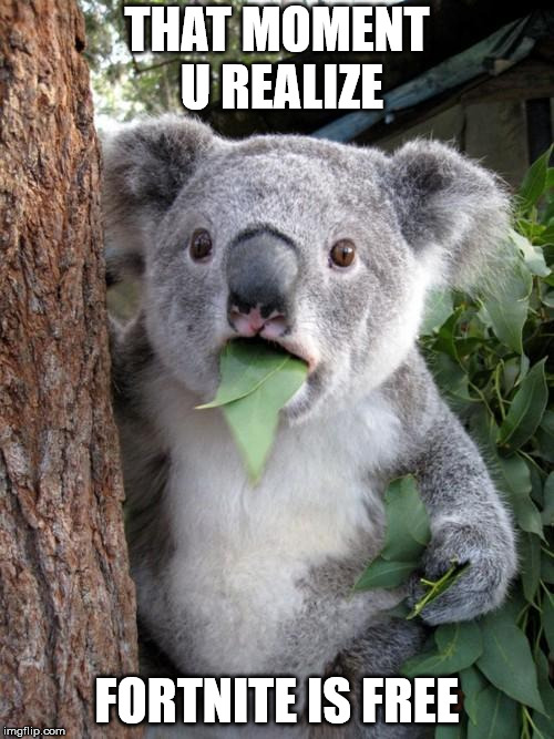 Surprised Koala Meme | THAT MOMENT U REALIZE; FORTNITE IS FREE | image tagged in memes,surprised koala | made w/ Imgflip meme maker