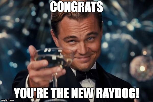 Leonardo Dicaprio Cheers Meme | CONGRATS YOU'RE THE NEW RAYDOG! | image tagged in memes,leonardo dicaprio cheers | made w/ Imgflip meme maker