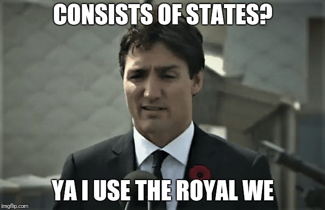 CONSISTS OF STATES? YA I USE THE ROYAL WE | made w/ Imgflip meme maker