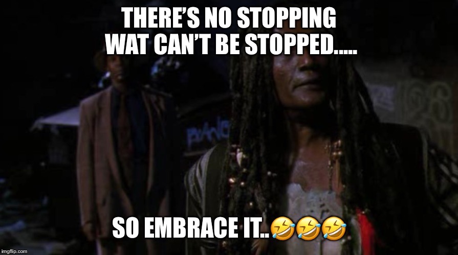 THERE’S NO STOPPING WAT CAN’T BE STOPPED..... SO EMBRACE IT..🤣🤣🤣 | image tagged in willie | made w/ Imgflip meme maker