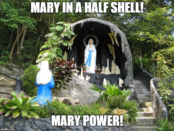 Mary, Mary, why you buggin? | MARY IN A HALF SHELL! MARY POWER! | image tagged in mary,catholicism,catholic,pope francis | made w/ Imgflip meme maker