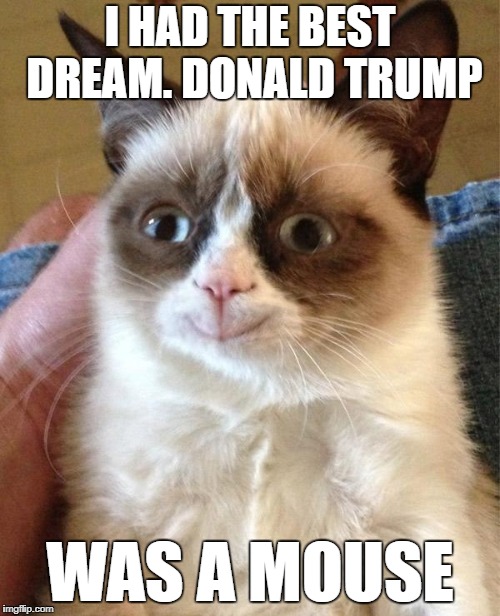 An awesome dream | I HAD THE BEST DREAM. DONALD TRUMP; WAS A MOUSE | image tagged in memes,grumpy cat happy,grumpy cat | made w/ Imgflip meme maker