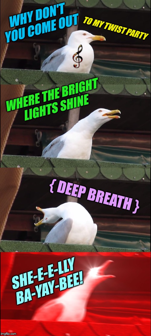 WHY DON'T YOU COME OUT WHERE THE BRIGHT LIGHTS SHINE TO MY TWIST PARTY { DEEP BREATH } SHE-E-E-LLY BA-YAY-BEE! | made w/ Imgflip meme maker