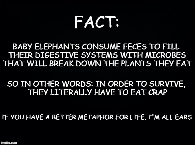 Black background | FACT:; BABY ELEPHANTS CONSUME FECES TO FILL THEIR DIGESTIVE SYSTEMS WITH MICROBES THAT WILL BREAK DOWN THE PLANTS THEY EAT; SO IN OTHER WORDS: IN ORDER TO SURVIVE, THEY LITERALLY HAVE TO EAT CRAP; IF YOU HAVE A BETTER METAPHOR FOR LIFE, I'M ALL EARS | image tagged in black background | made w/ Imgflip meme maker