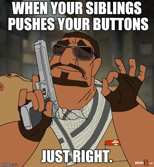 Getting out the artillery. | WHEN YOUR SIBLINGS PUSHES YOUR BUTTONS; JUST RIGHT. | image tagged in when you hit that bhop just right,buttons pushed | made w/ Imgflip meme maker