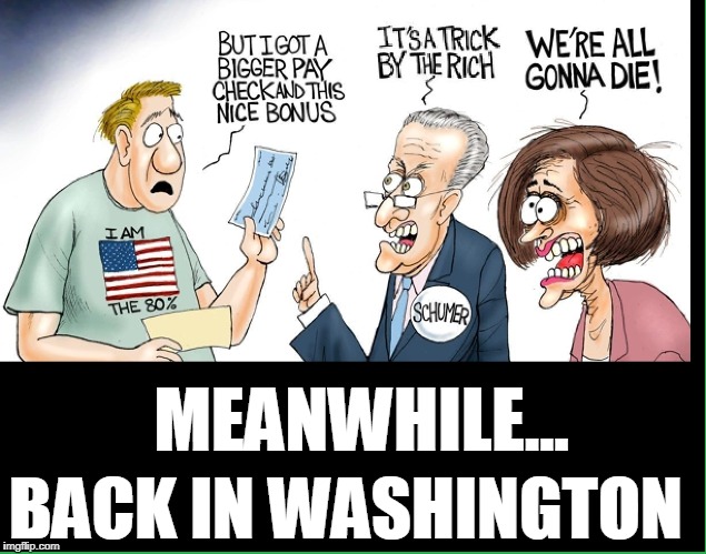 I'll Take a Few of those Crumbs, you idiots | MEANWHILE... BACK IN WASHINGTON | image tagged in vince vance,nancy pelosi,chuck schumer,democrats are against tax cuts | made w/ Imgflip meme maker