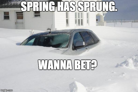 Snow storm Large | SPRING HAS SPRUNG. WANNA BET? | image tagged in snow storm large | made w/ Imgflip meme maker