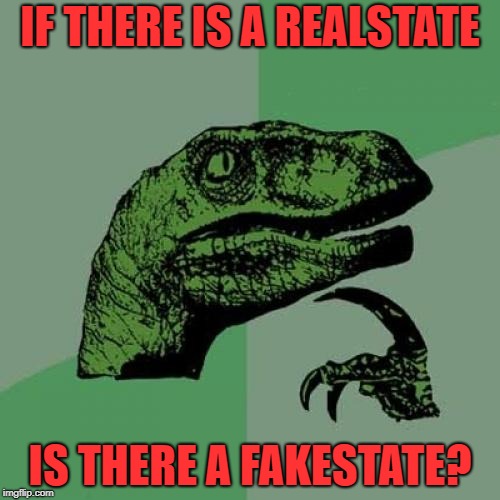 Philosoraptor Meme | IF THERE IS A REALSTATE; IS THERE A FAKESTATE? | image tagged in memes,philosoraptor | made w/ Imgflip meme maker