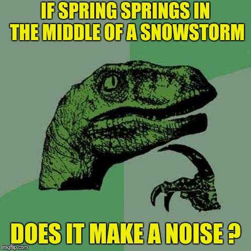 Ahhh , Springtime in New York | IF SPRING SPRINGS IN THE MIDDLE OF A SNOWSTORM; DOES IT MAKE A NOISE ? | image tagged in memes,philosoraptor,springtime,blizzard,5 seconds of summer,seasons | made w/ Imgflip meme maker