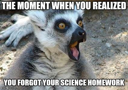 That Moment When | THE MOMENT WHEN YOU REALIZED; YOU FORGOT YOUR SCIENCE HOMEWORK | image tagged in that moment when | made w/ Imgflip meme maker