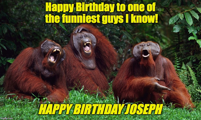 laughing orangutans | Happy Birthday to one of the funniest guys I know! HAPPY BIRTHDAY JOSEPH | image tagged in laughing orangutans | made w/ Imgflip meme maker