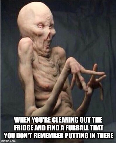 Ewwwww! | WHEN YOU'RE CLEANING OUT THE FRIDGE AND FIND A FURBALL THAT YOU DON'T REMEMBER PUTTING IN THERE | image tagged in grossed out alien,fridge,cleaning | made w/ Imgflip meme maker