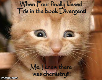 Excited Cat | When Four finally kissed Tris in the book Divergent! Me: I knew there was chemistry!!! | image tagged in memes,excited cat | made w/ Imgflip meme maker