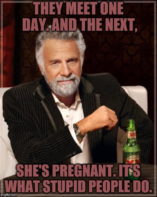 The Most Interesting Man In The World Meme | THEY MEET ONE DAY. AND THE NEXT, SHE'S PREGNANT. IT'S WHAT STUPID PEOPLE DO. | image tagged in memes,the most interesting man in the world | made w/ Imgflip meme maker