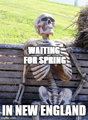 Waiting Skeleton Meme | WAITING FOR SPRING; IN NEW ENGLAND | image tagged in memes,waiting skeleton | made w/ Imgflip meme maker