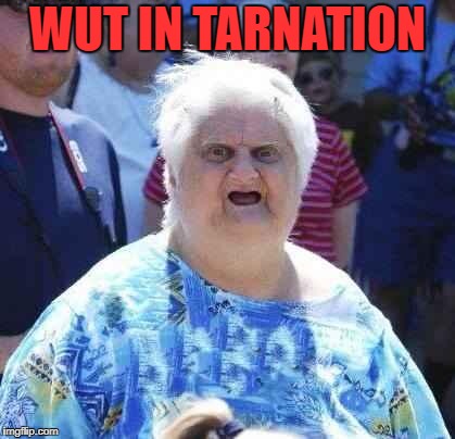wut | WUT IN TARNATION | image tagged in wut | made w/ Imgflip meme maker